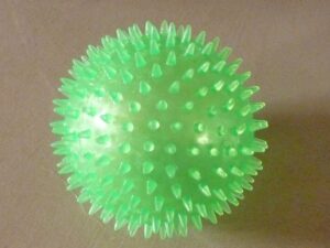 spiel Ball Hunde